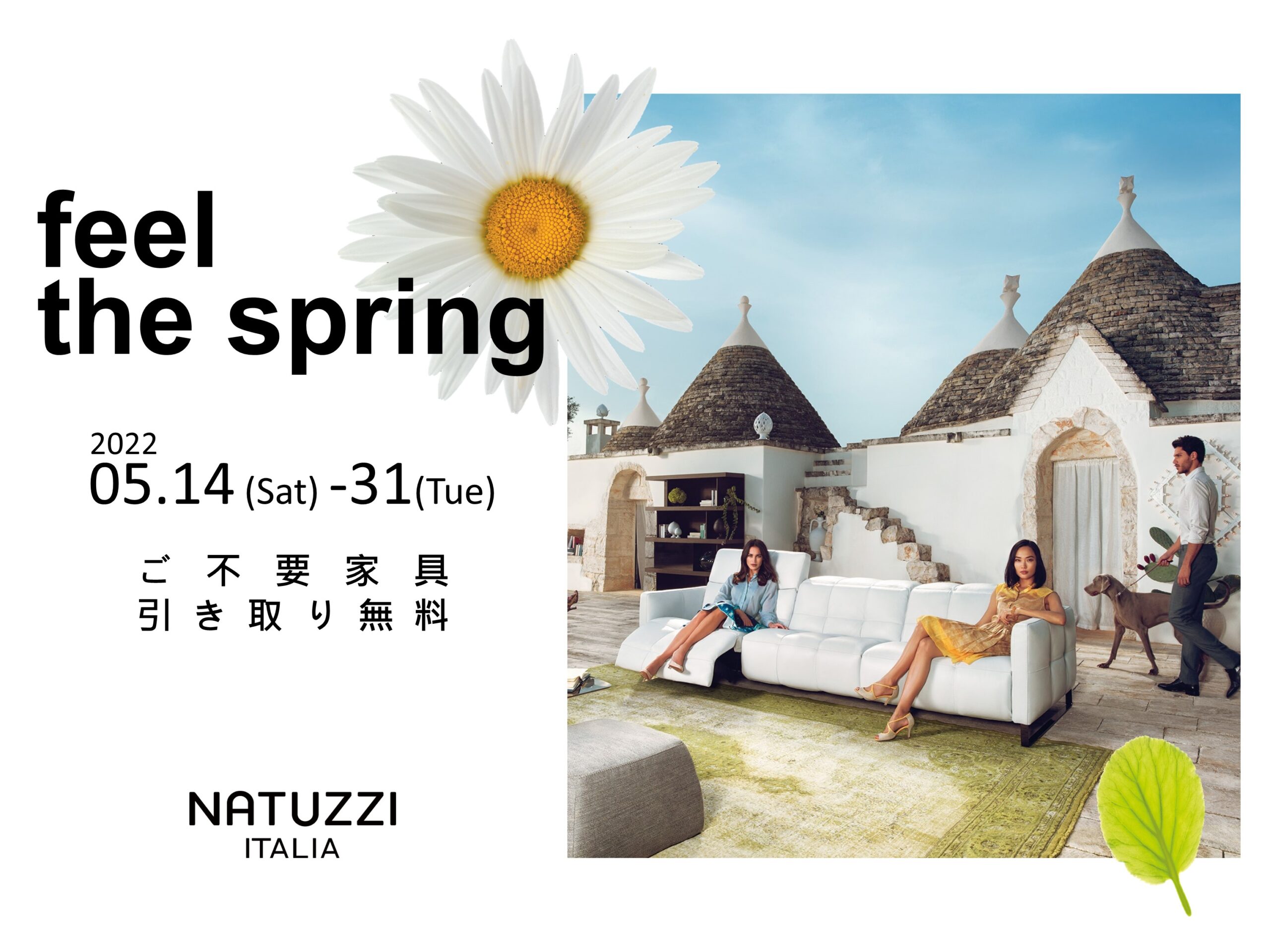 feel the spring | NATUZZI ITALIA GALLERY YOKOHAMA