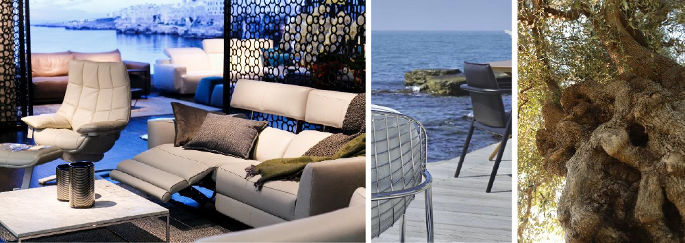 NATUZZI ITALIAとは